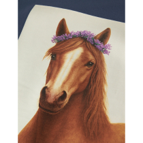 NAME IT Sweatshirt Votea Vintage Indigo Horse